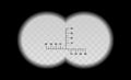 Binocular scale military view with optical sight.