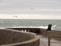 Binocular and three seagulls flying away from the coast Royalty Free Stock Photo