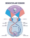Binocular vision explanation with anatomical eye nerve path outline diagram