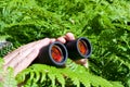 Binoculars in hand from the bushes