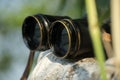 Binoculars resting on a rock surrounding trees Royalty Free Stock Photo