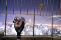 Binoculars on top of Empire State Building at Night in Manhattan