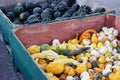 Bins of acorn squash, white pumpkins, decorative gourds for sale Royalty Free Stock Photo