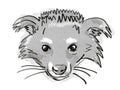 Binturong or Arctictis binturong Endangered Wildlife Cartoon Retro Drawing