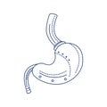 Bio artificial stomach black line icon. High-tech box that physically simulates human digestion. Pictogram for web page, mobile