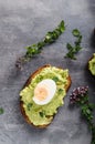 Bio avocado on bread with boiled egg Royalty Free Stock Photo