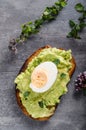 Bio avocado on bread with boiled egg Royalty Free Stock Photo