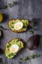 Bio avocado on bread with boiled egg Royalty Free Stock Photo