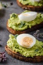 Bio avocado on bread with boiled egg Royalty Free Stock Photo