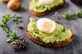 Bio avocado on bread with boiled egg Royalty Free Stock Photo