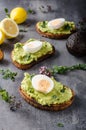 Bio avocado on bread with boiled egg Royalty Free Stock Photo