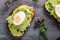 Bio avocado on bread with boiled egg Royalty Free Stock Photo