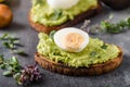 Bio avocado on bread with boiled egg Royalty Free Stock Photo