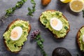 Bio avocado on bread with boiled egg Royalty Free Stock Photo