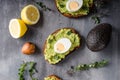 Bio avocado on bread with boiled egg Royalty Free Stock Photo