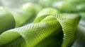 Bio-based Composites: Bio-based composites utilize renewable materials like soy protein, starch, or cellulose fibers, AI generated