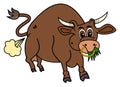 A bio brown bull that eats grass