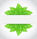 Bio concept design eco friendly banner