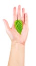 Bio concept - woman hand with green leaf Royalty Free Stock Photo