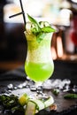 Bio cucumber slices & fresh basil tasty drink Royalty Free Stock Photo