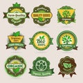 Bio - Ecology - Green icon set Royalty Free Stock Photo