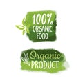 Bio, Ecology, Organic logos and icons, labels, tags. Hand drawn bio healthy food badges, set healthy food signs, organic and Royalty Free Stock Photo