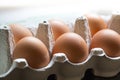 Bio eggs in a box Royalty Free Stock Photo