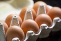 Bio eggs in a box Royalty Free Stock Photo