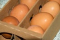 Fresh organic eggs in a cardboard box Royalty Free Stock Photo