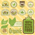 Bio farm organic eco healthy food templates and vintage vegan green color for restaurant menu or package badge vector