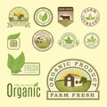 Bio farm organic eco healthy food templates and vintage vegan green color for restaurant menu or package badge vector