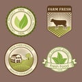 Bio farm organic eco healthy food templates and vintage vegan