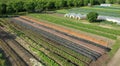 Farm garden bio farmer field farming vegetable agricultural plantation fruit tree dron aerial video shot leaf curly
