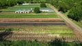Bio farmer field farming vegetable agricultural farm garden plantation fruit tree dron aerial video shot leaf curly