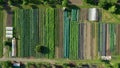 Bio farmer field farming vegetable agricultural farm garden plantation fruit tree dron aerial video shot leaf curly