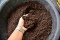 Bio fertilizer earthworm manure for plants