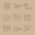 Bio Food Handdrawn Linear Lables Set Royalty Free Stock Photo