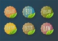 Bio Food Lable Set. Vector Illustration Collection Royalty Free Stock Photo