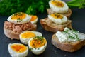 Hard Boiled Eggs and Sandwiches Royalty Free Stock Photo