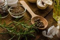 Bio garlic, spices and wild mushrooms from the home garden Royalty Free Stock Photo