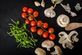 Bio garlic, spices and wild mushrooms from the home garden Royalty Free Stock Photo