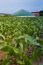 Bio gas plant in a maize field Royalty Free Stock Photo
