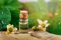 Herbal cosmetics - small bottle with essential oil on green leaf background