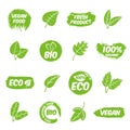 Bio labels set. Healthy badges, fruit organic green nature emblem. Vegan symbols, agriculture market product stickers