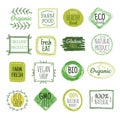 Bio labels. Vegan green eco food, gluten free natural farm product labels. Fresh organic healthy eat badges vector set