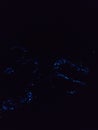 Bio luminescence. Illumination of plankton at Lakshadweep. stock photo