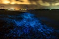 Bio luminescence. Illumination of plankton at Maldives