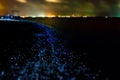 Bio luminescence. Illumination of plankton at Maldives. Many par Royalty Free Stock Photo