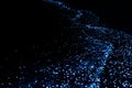 Bio luminescence. Illumination of plankton at Maldives. Many par Royalty Free Stock Photo