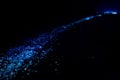 Bio luminescence. Illumination of plankton at Maldives. Many par